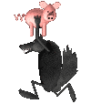 kochonland
