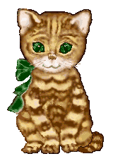 je vais vous presenter mes animaux prefere